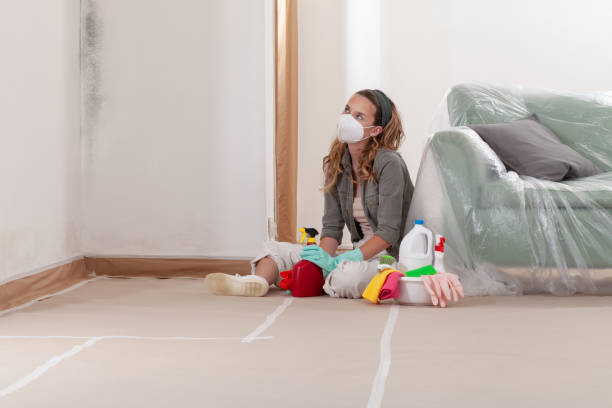 Reliable Mold Inspection contractor in Nottingham, PA by WQB Mold Removal